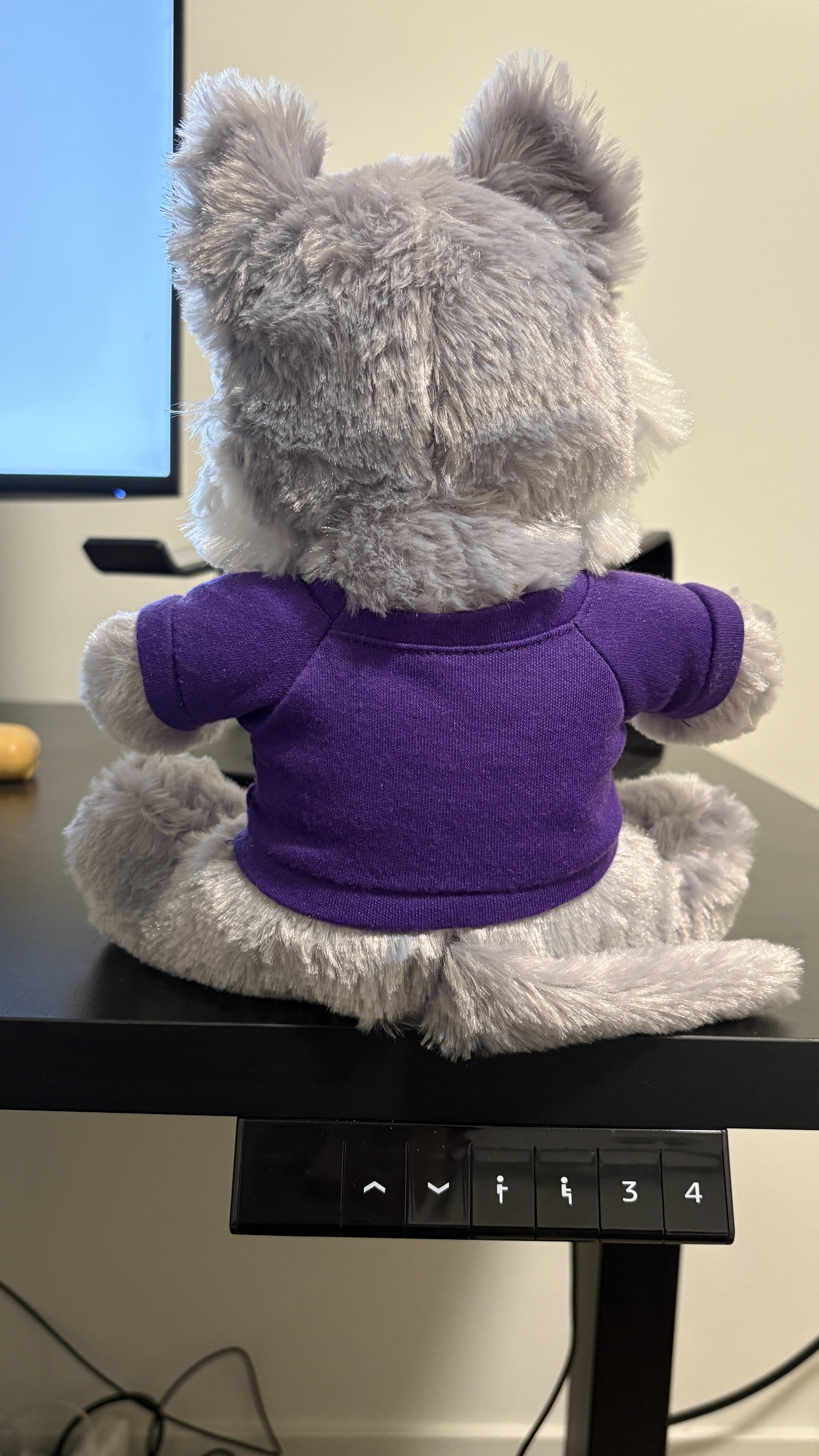 Thumbnail plush01